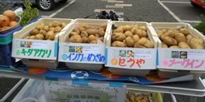 収穫感謝祭(北陽地区) 野菜 写真